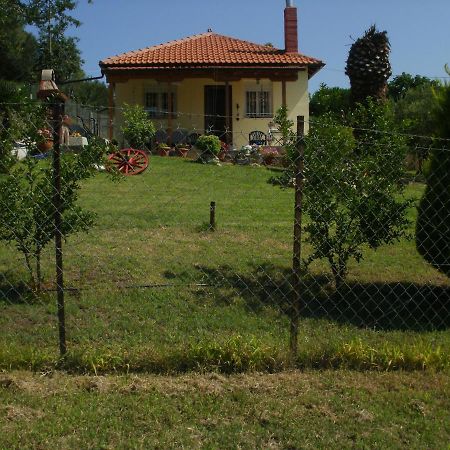 Xerxis Hill/Chalkidiki Τρυπητή Χαλκιδικής Villa Nea Roda Bagian luar foto